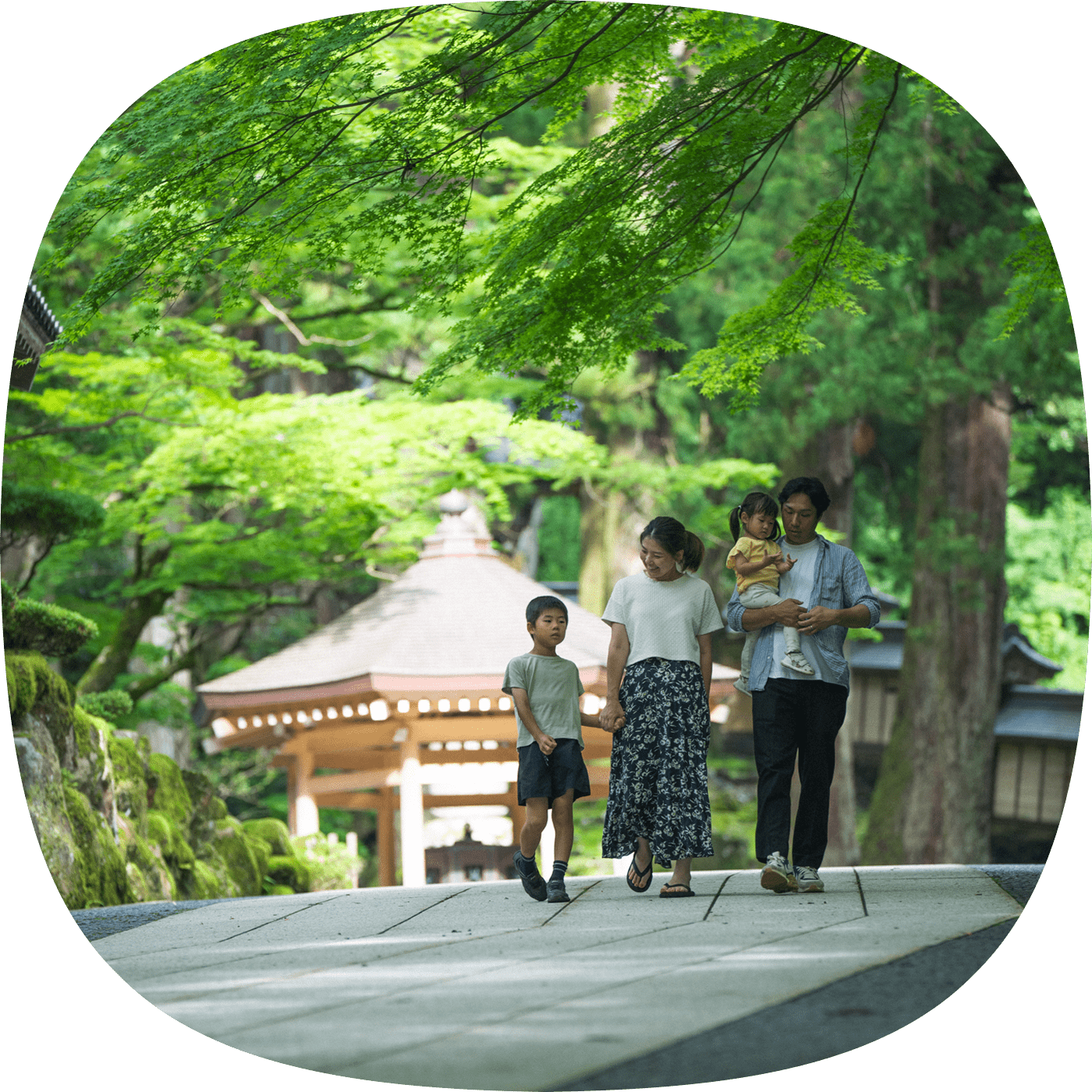 青もみじに包まれた参道を、手をつないで歩く家族連れ